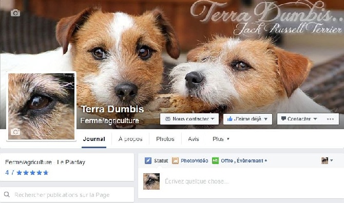 Terra Dumbis - Retrouvez-nous sur Facebook!